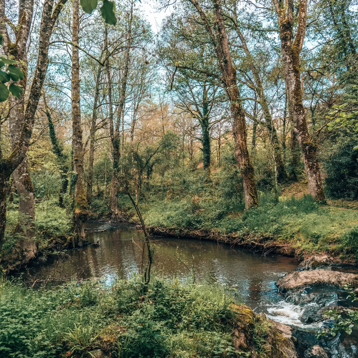 Espace naturel Vallée du Canut