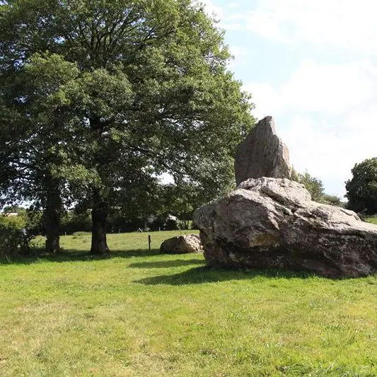 Aligmenents megalithiques de Lampouy Medreac