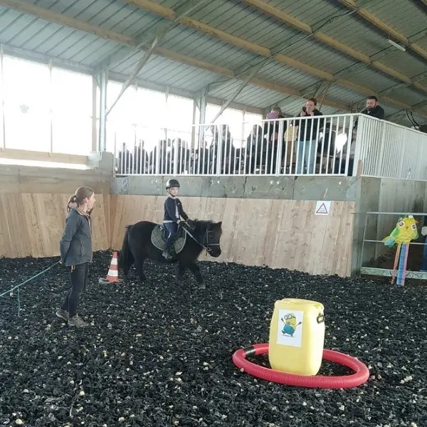 Apprentissage poney