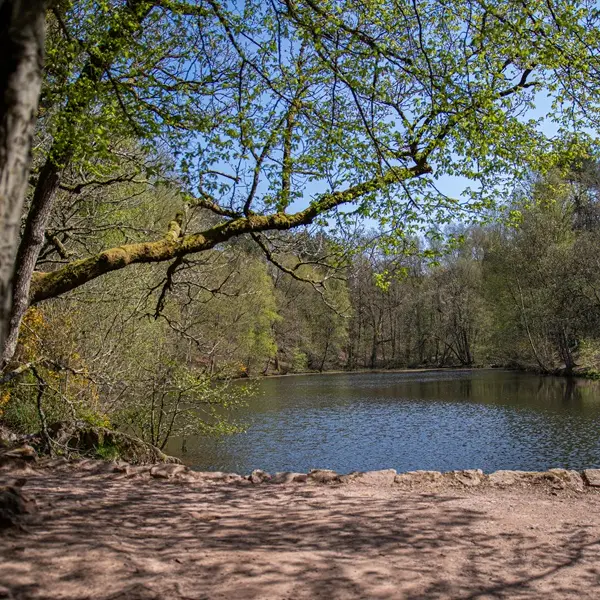 miroir au fée - val sans retour - Tréhorenteuc - Brocéliande - Bretagne