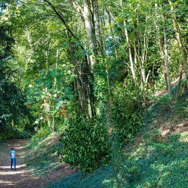 Balade au Buttes du Chatel