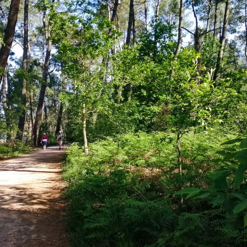 Balade autour du lac de Trémelin Iffendic