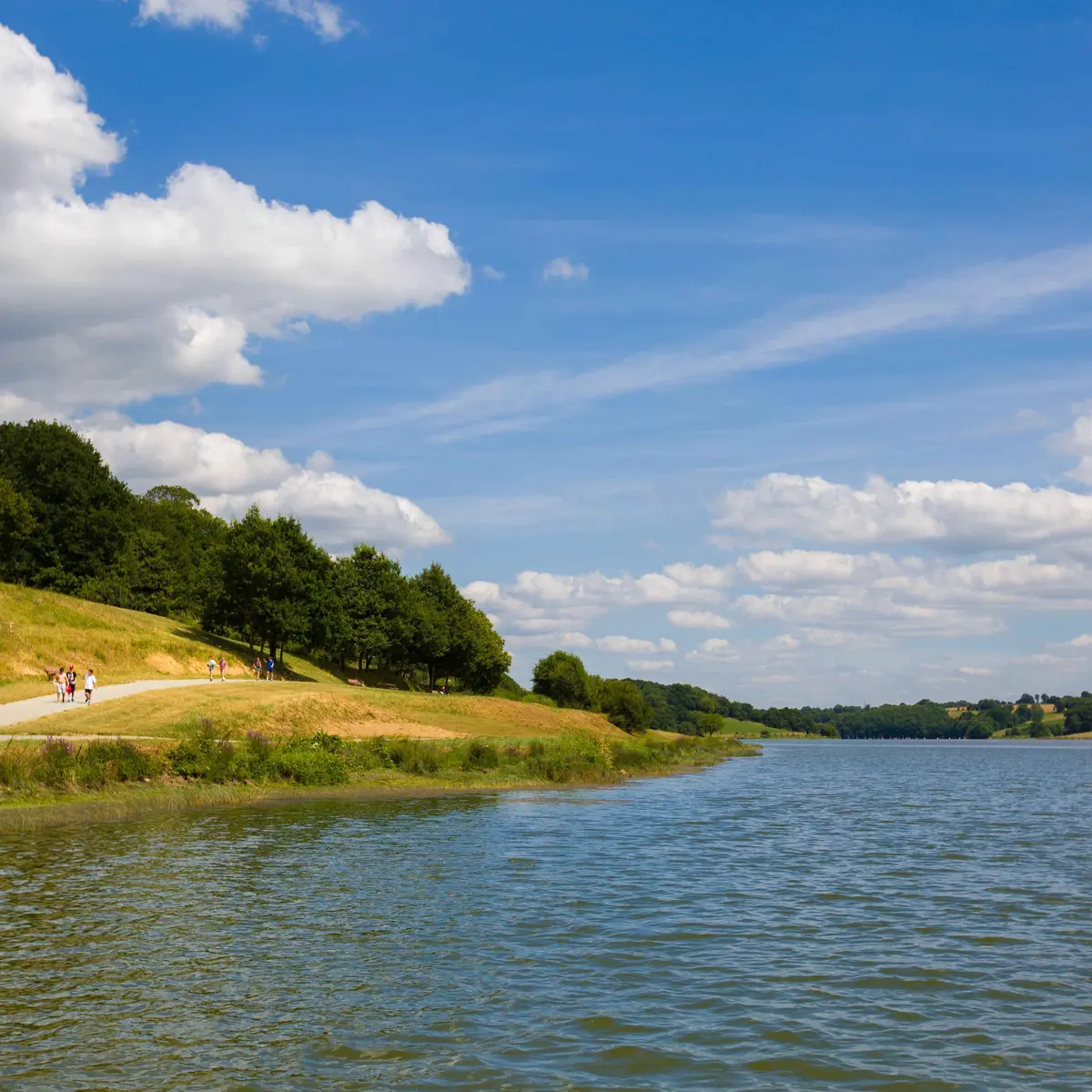 Lac Haute Vilaine 2018_©Max Juillot (43)-min-compressed