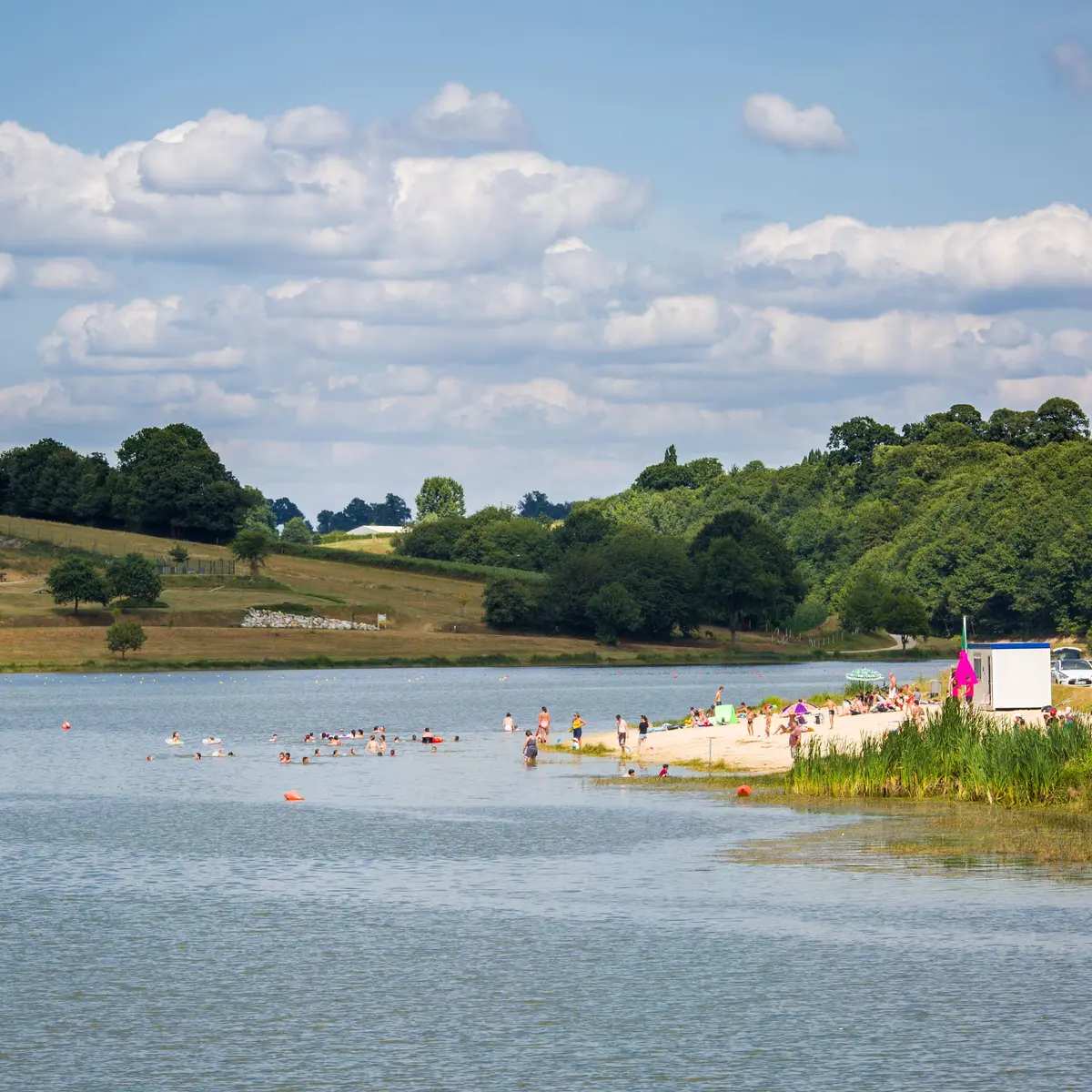 Lac de Haute Vilaine 2018_©Max Juillot (45)-min