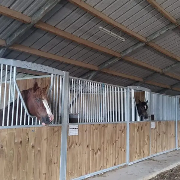 Boxes à cheval