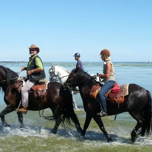 Traversée de la baie 4