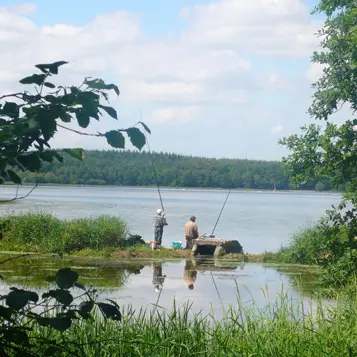 Etang du Boulet Feins
