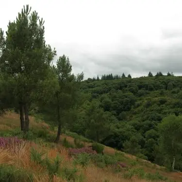Val sans retour Brocéliande