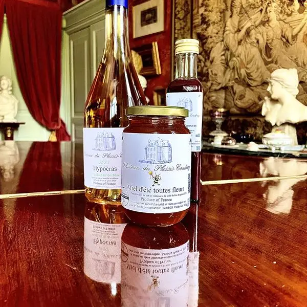 Chateau du plessis coudray