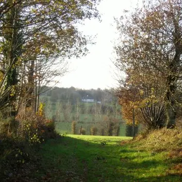 Chemin creux à Pleumeleuc