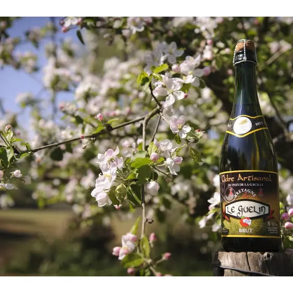 Cidre-Ruaudaie-Martin-Oust-Brocéliande