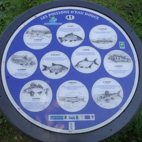Circuits d'orientation Roc-St-André panneau info poissons d'eau douce