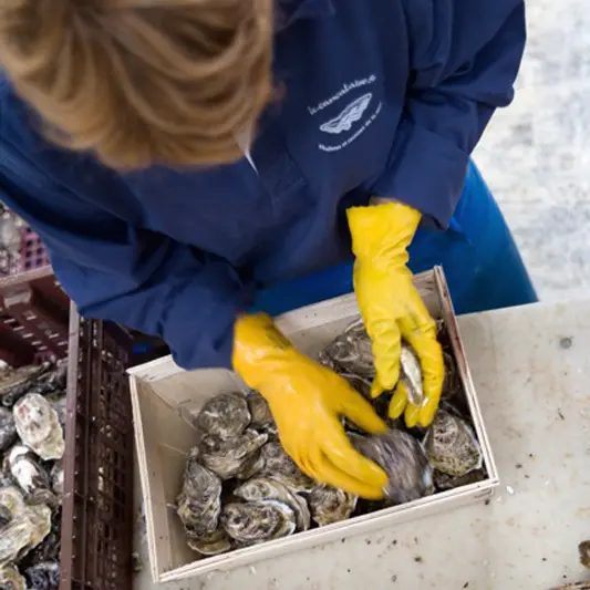 Huîtres Céline Maisons à Saint-Méloir-des-Ondes