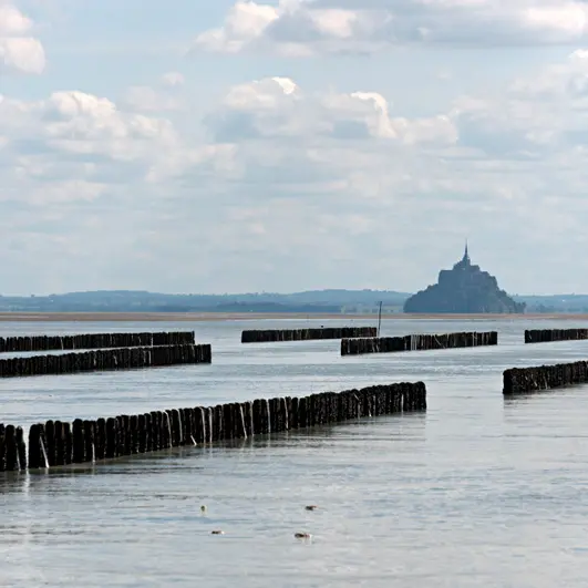 AOP Moules de bouchot de la Baie du Mont-Saint-Michel