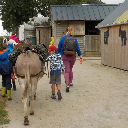 Les Ânes de Min Guen
