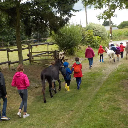 Les Ânes de Min Guen