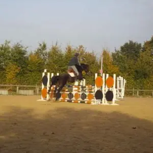 Ecole d’équitation de Bédée - La Nouaye