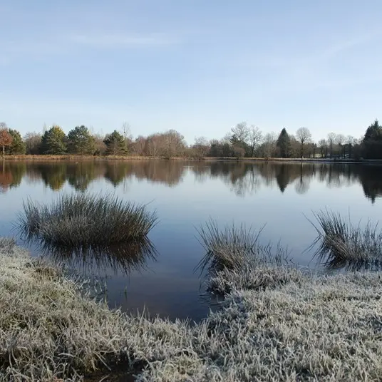 Etang de la Marette