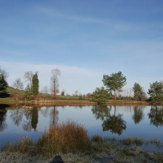 Etang de la Marette