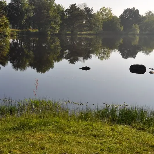 Etang de la Marette (3)