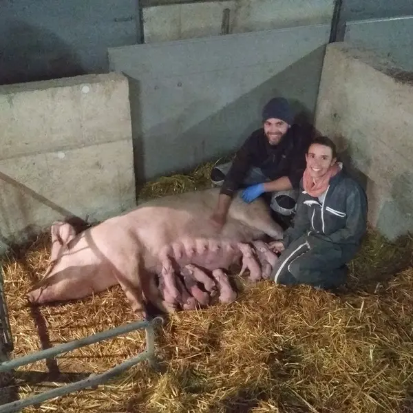 Ferme de Brénature