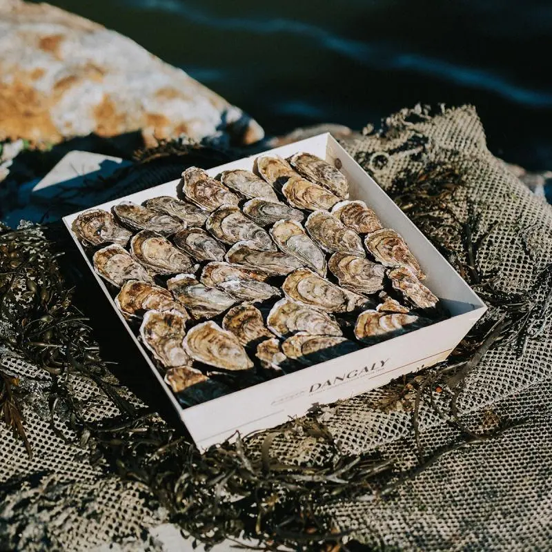 Ferme des Nielles magasin 3 - Cancale