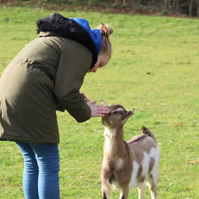 Ferme pédagogique - La Combe aux Anes