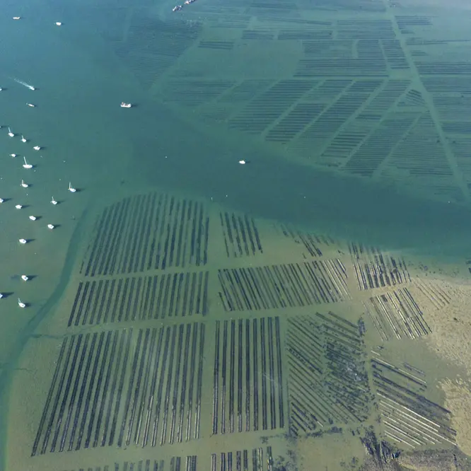 Fiche-12--Mesquer-Parc-à-huitres_tlocquard-2023