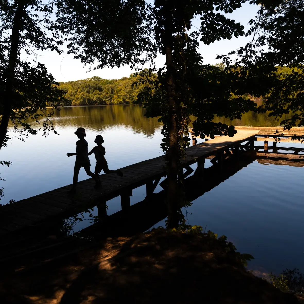 Forêt Corbière Ponton