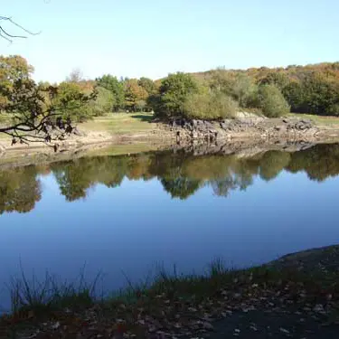 Forêt Domaniale du Mesnil