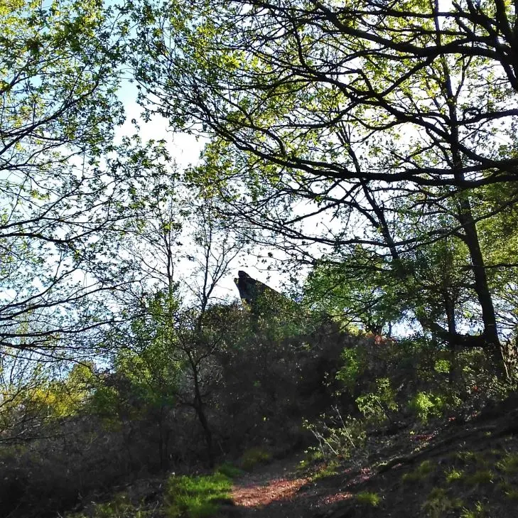 Le Vallon de la chambre au loup
