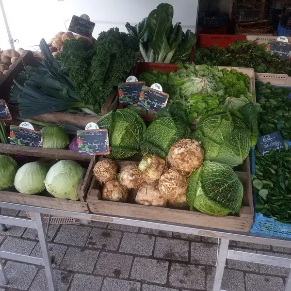 Ferme Graines de vie - Guégon - Morbihan