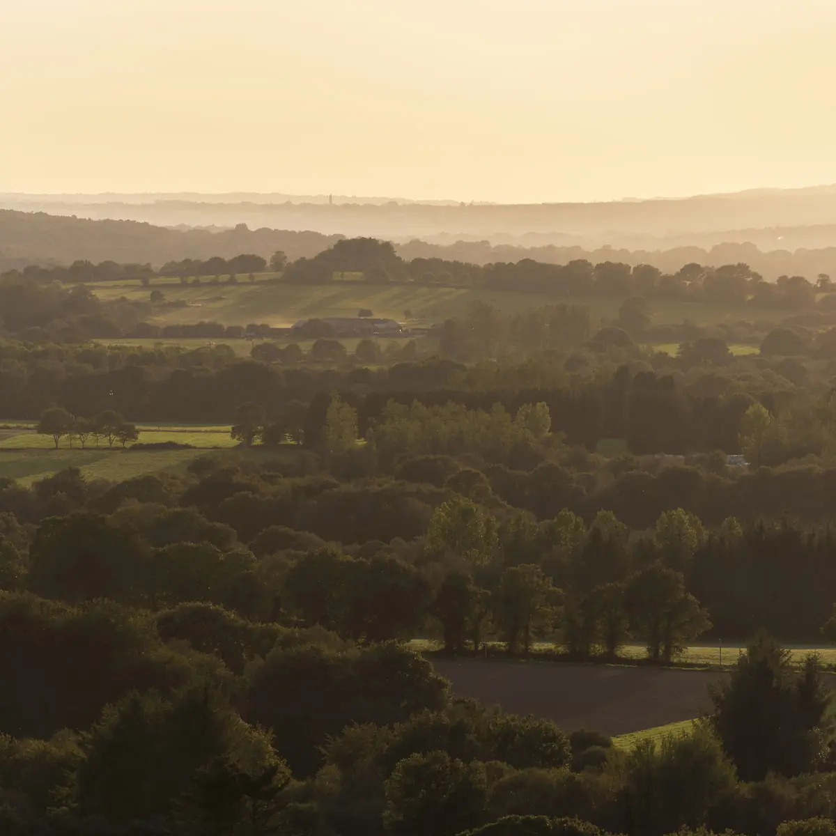 Heure dorée sur les Montagnes Noires 2