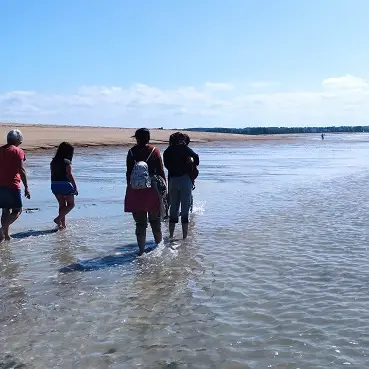 Balades commentées - La Maison de la Baie - Le Vivier sur Mer