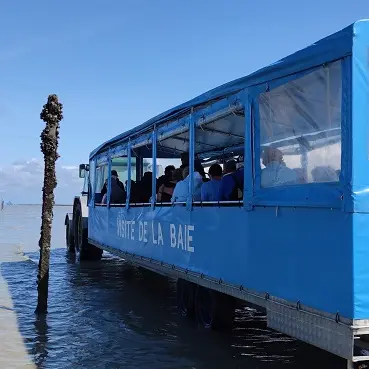 Balades commentées - La Maison de la Baie - Le Vivier sur Mer