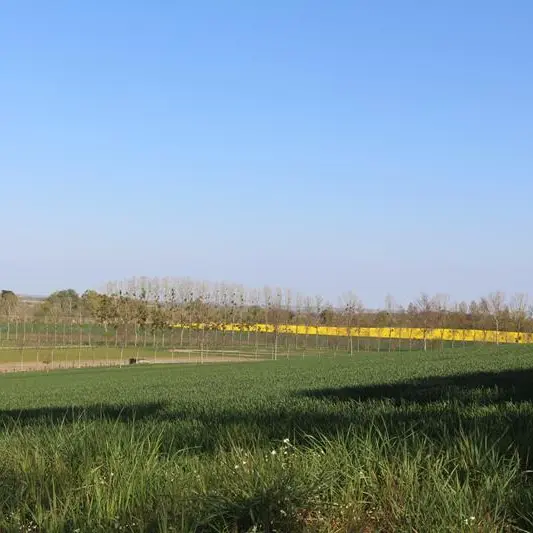 Campagne de Saint-Pern