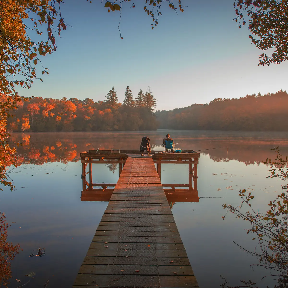 forêt Corbière ©Florine Jubert