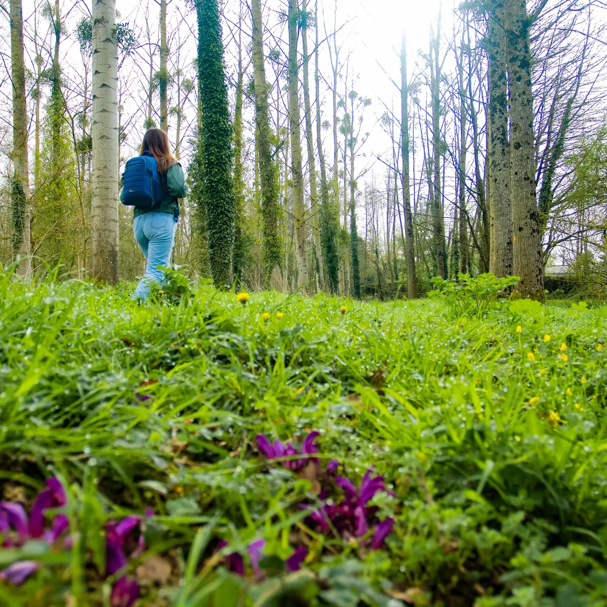 Vallée de la Vaunoise