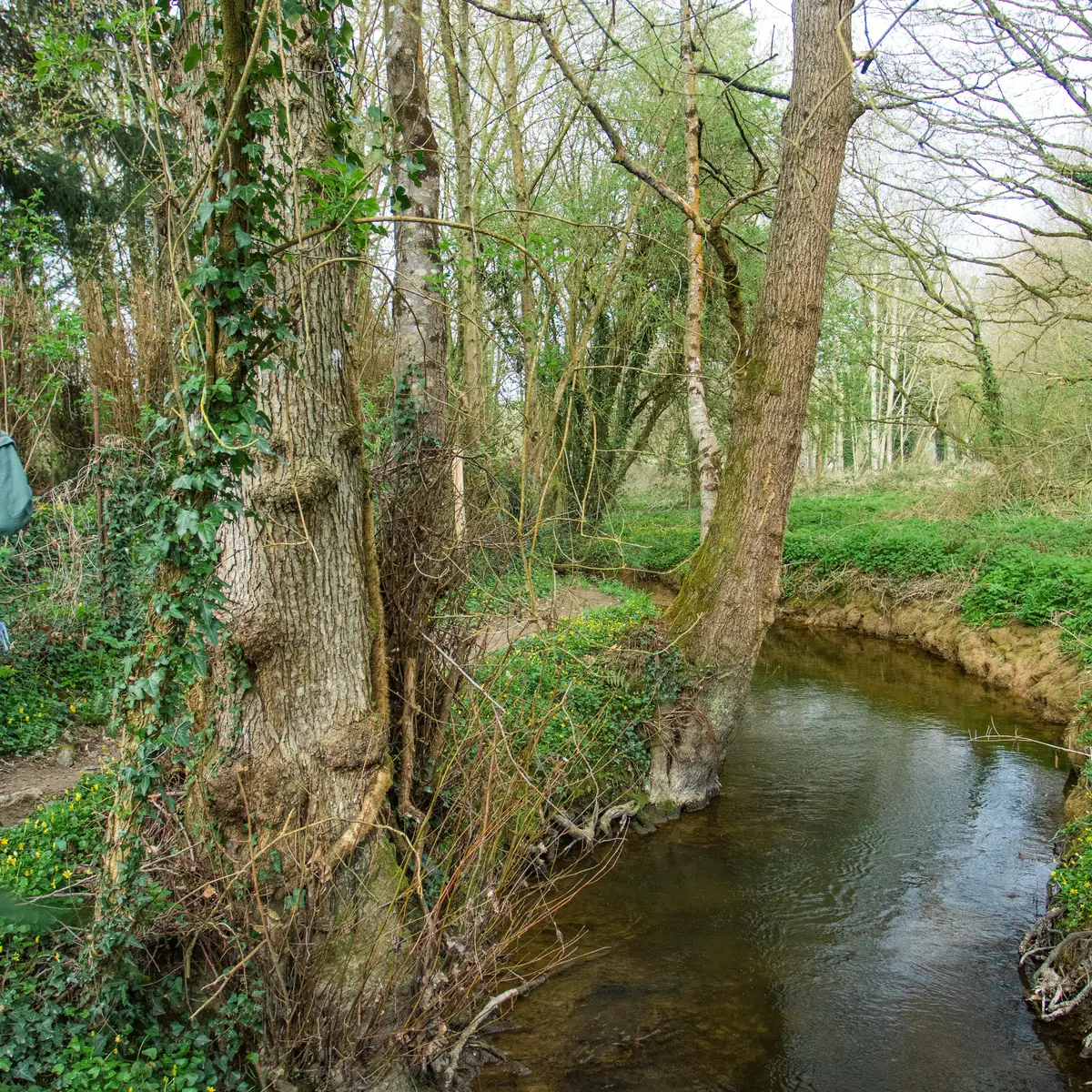 Vallée de la Vaunoise