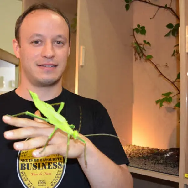 Insectarium de Lizio - Morbihan - Bretagne