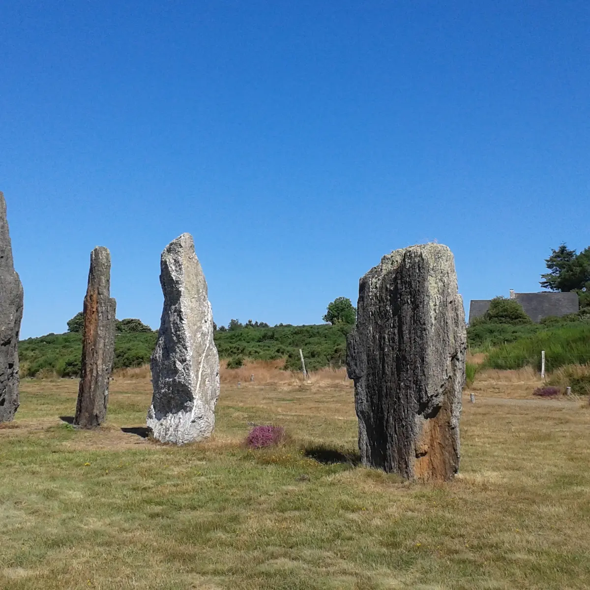 Mégalithes de Saint-Just