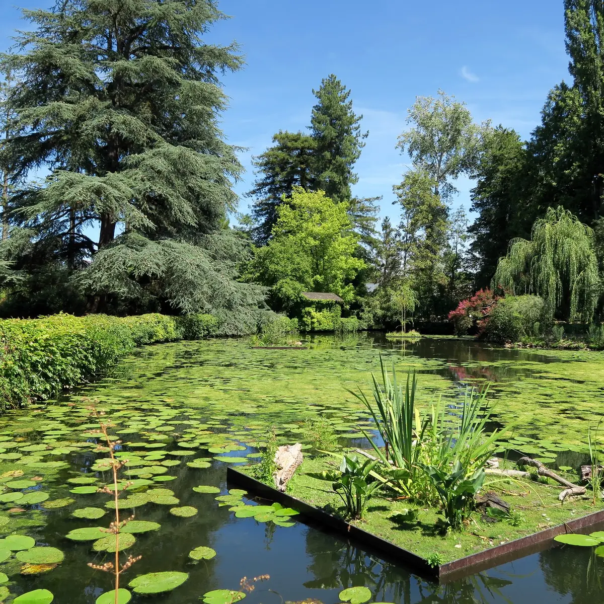 Jardin des Arts 2022 copyright Ville Châteaubourg 5