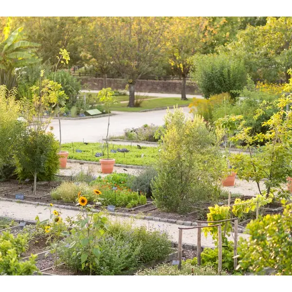 JardinBotanique3