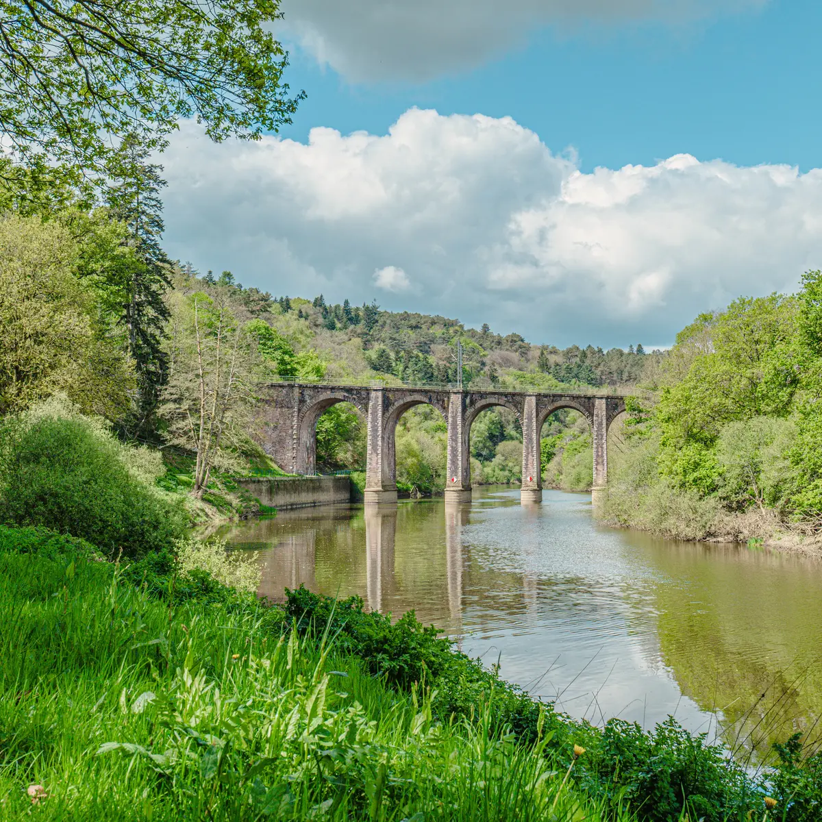 LANGON - Les Corbinieres_bauthamy madoline (17)