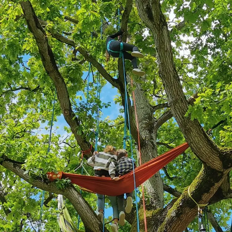 La tête en l'air_Grimpe d'arbres_1_Beaussais sur Mer