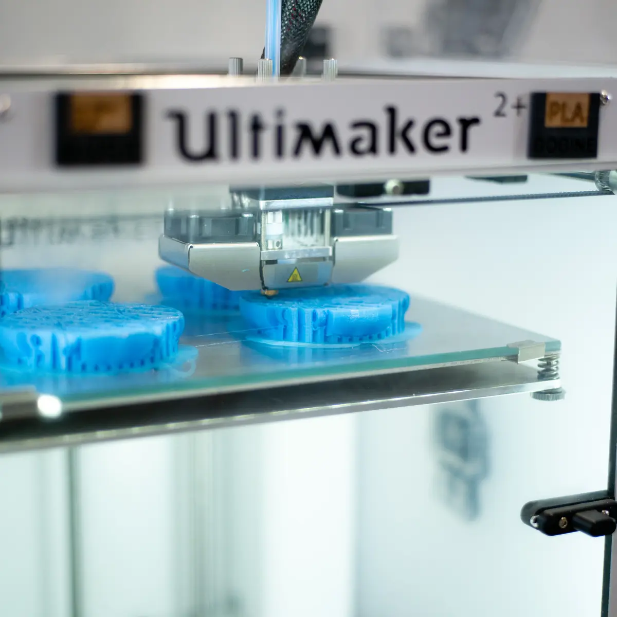 La Canopée - Julien Mota-59