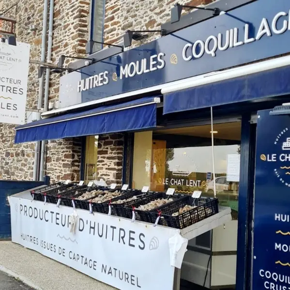 Le Chat Lent St Benoît des Ondes