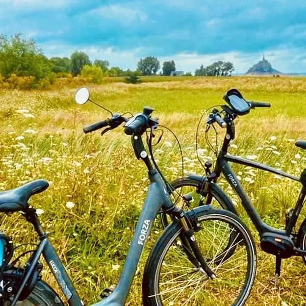 Location de vélos électriques