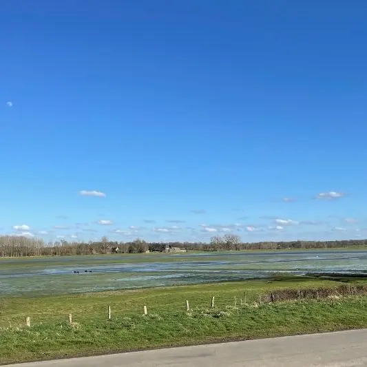 Marais de Sougeal- réserve naturelle régionale- vue