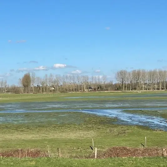 Marais de Sougeal- réserve naturelle régionale